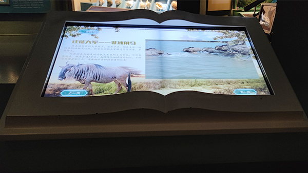 常州少兒自然博物館電子翻書系統(tǒng)
