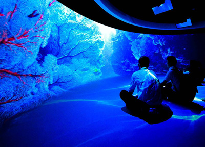 弧幕投影多少錢一套?