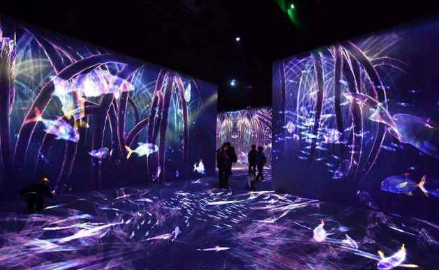 展廳創(chuàng)意多媒體展示