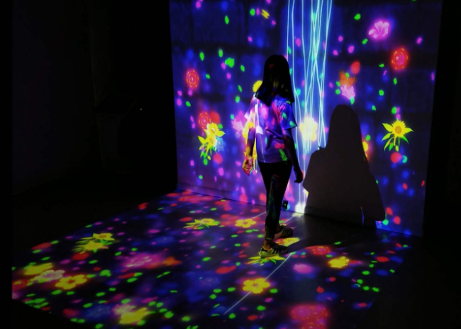 多媒體展項 多媒體展項