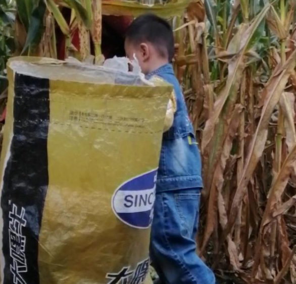 多媒體互動(dòng)游戲 多媒體互動(dòng)游戲