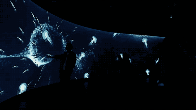 墨西哥海灣溪流體驗(yàn)