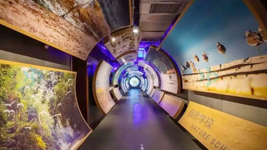 博物館人性化展示效果