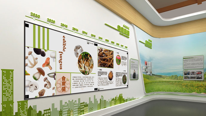 魔鏡展示系統(tǒng)